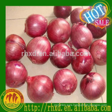 China Fresh Red Onion Yellow Onion Importer from Dubai Malaysia with lowest price